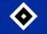 HSV